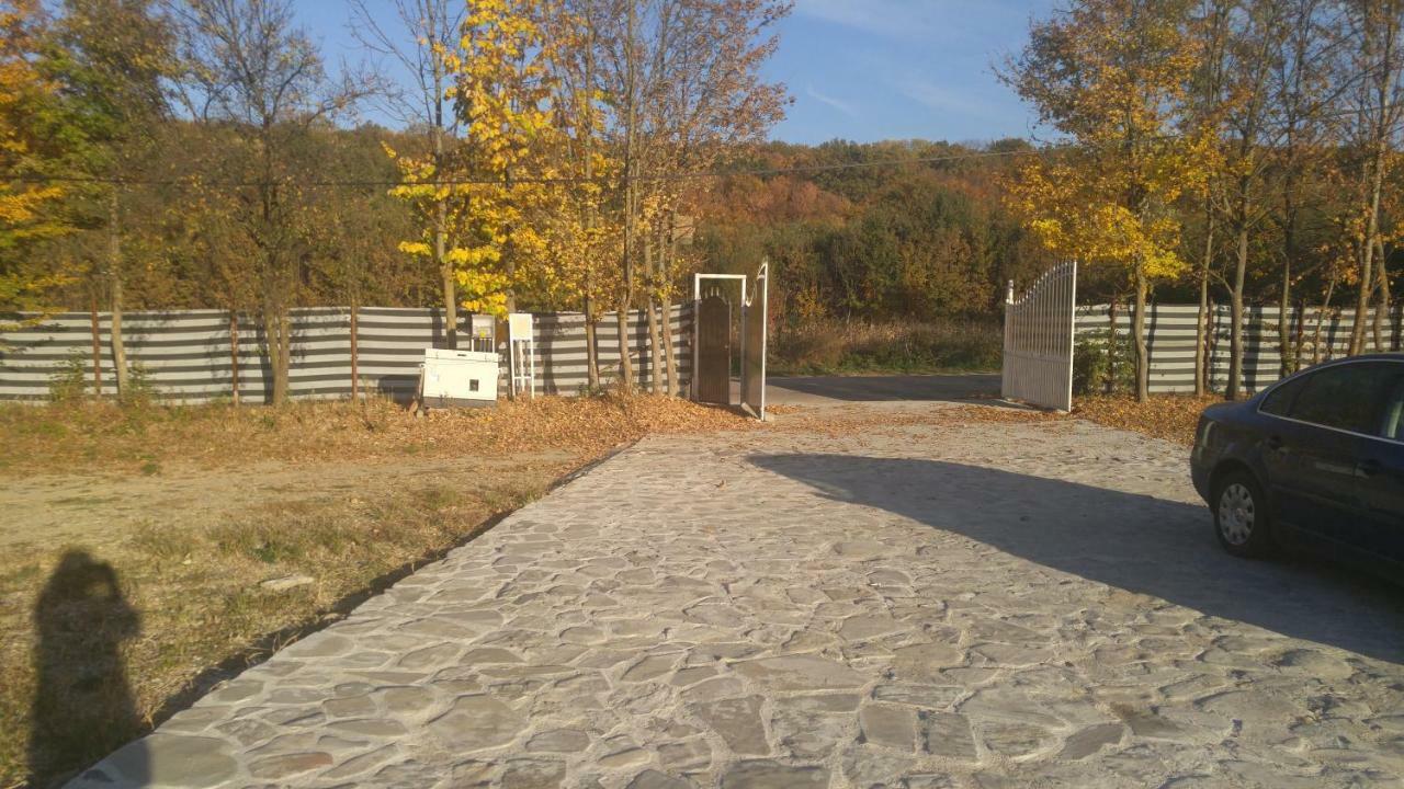 Pensiunea Casa Vanatorului 호텔 Oteleni 외부 사진