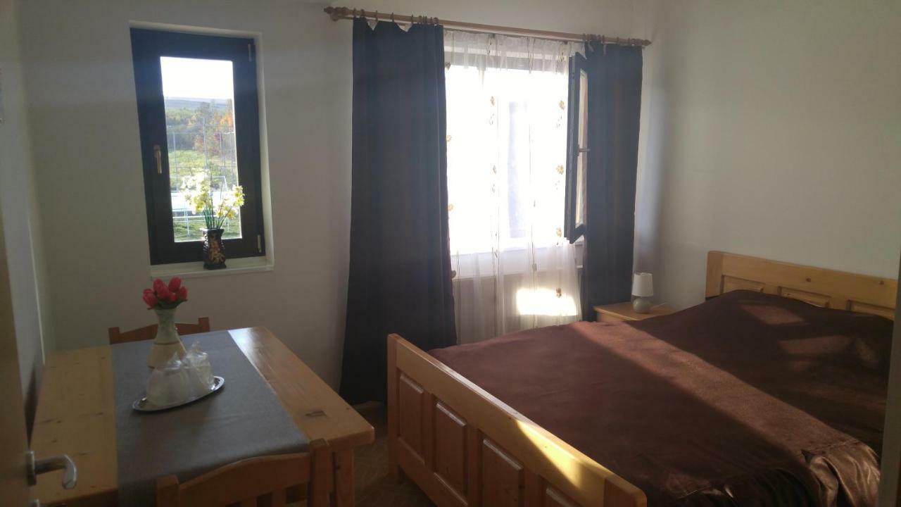 Pensiunea Casa Vanatorului 호텔 Oteleni 외부 사진