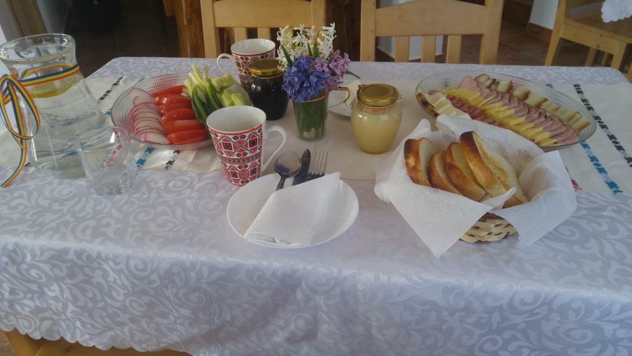 Pensiunea Casa Vanatorului 호텔 Oteleni 외부 사진